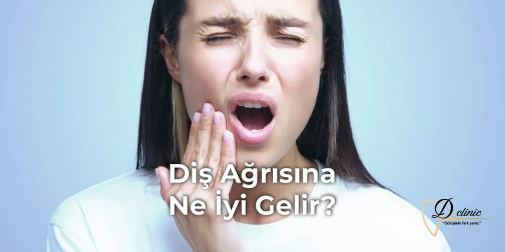 dis-agrisina-ne-iyi-gelir
